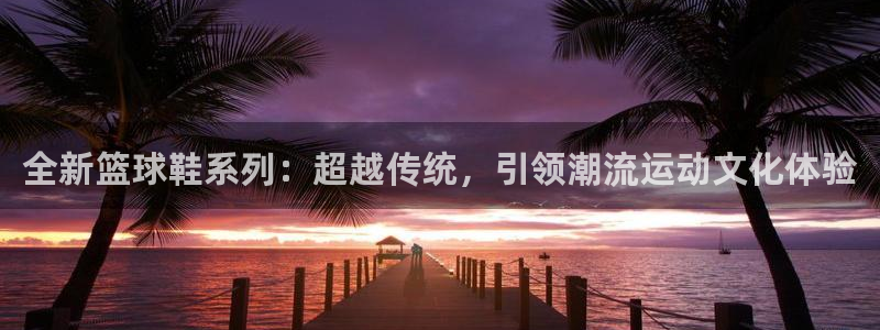 全新篮球鞋系列：超越传统，引领潮流运动文化体验
