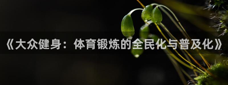 98nba直播免费观看