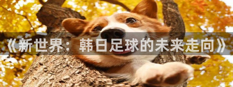 98篮球直播中文网
