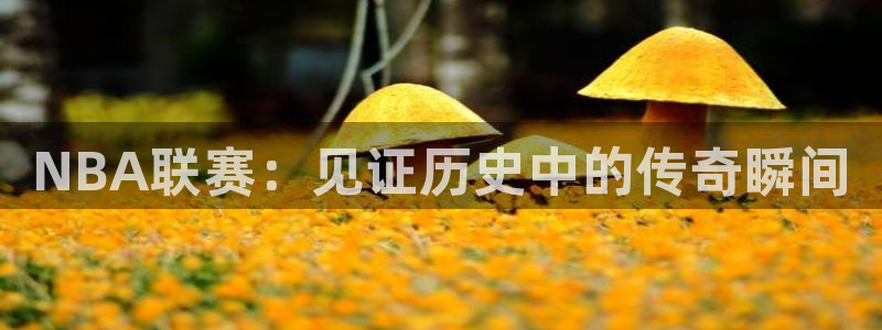 nba篮球98：NBA联赛：见证历史中的传奇瞬间
